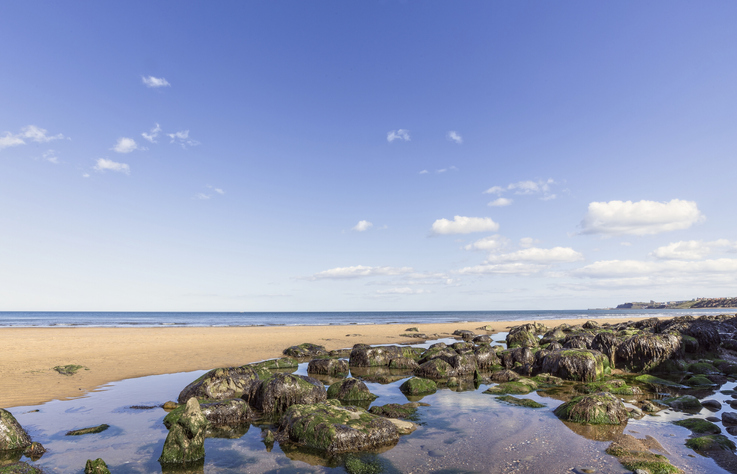 A pool of water with rocks on the beach at Sabdsend. Whitby can be seen in the distance.