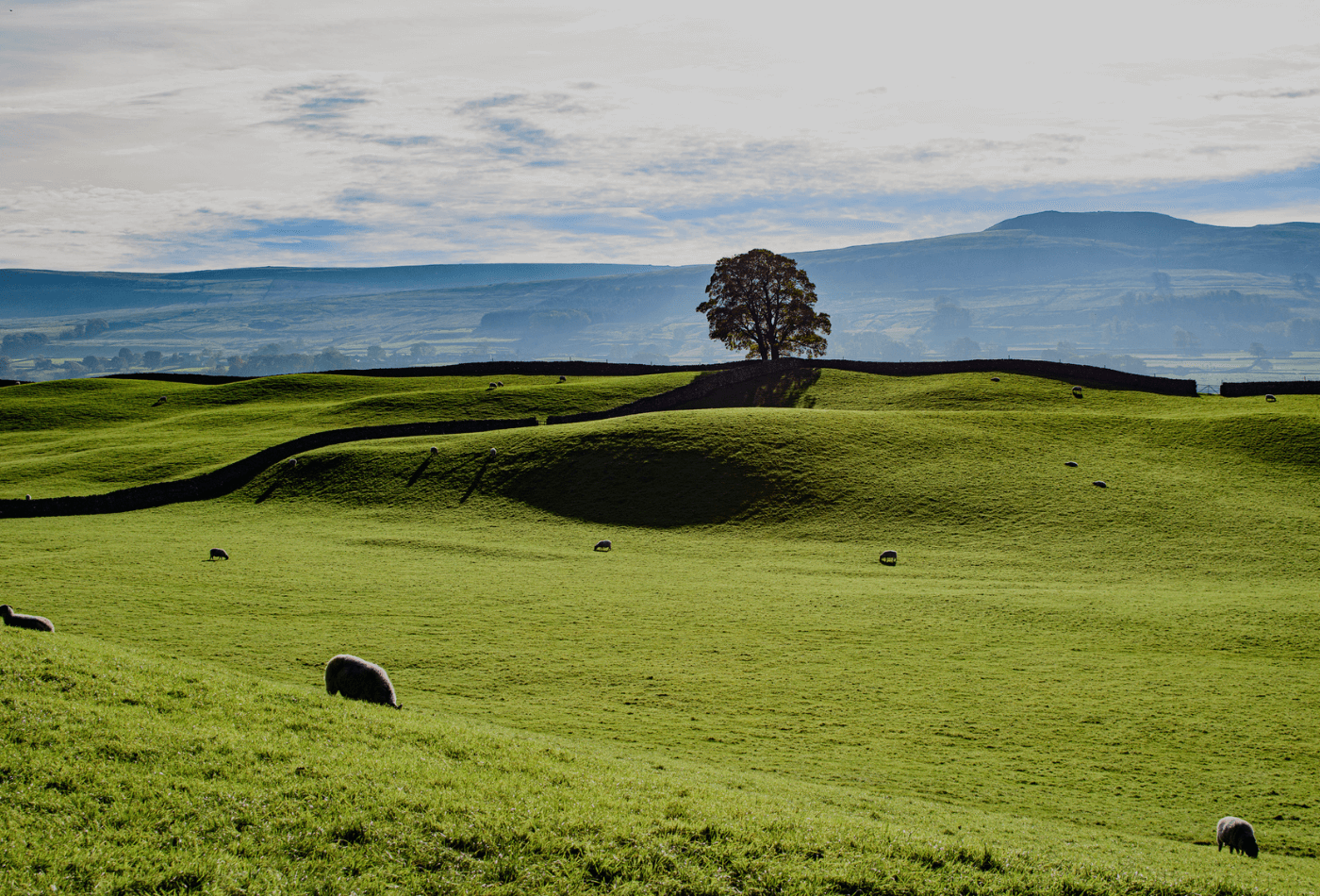 Views of rolling hills in Yorkshire