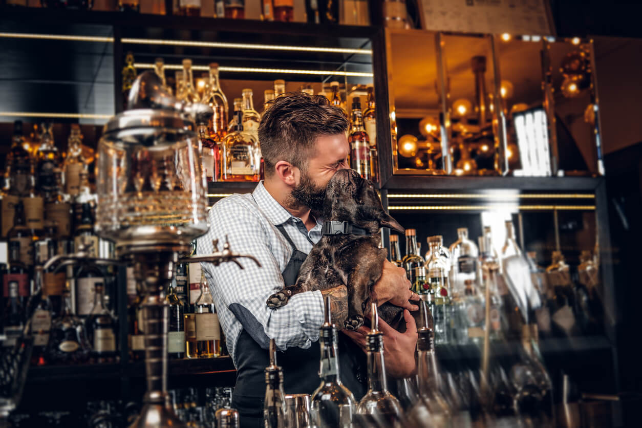 Dog behind bar in pub.