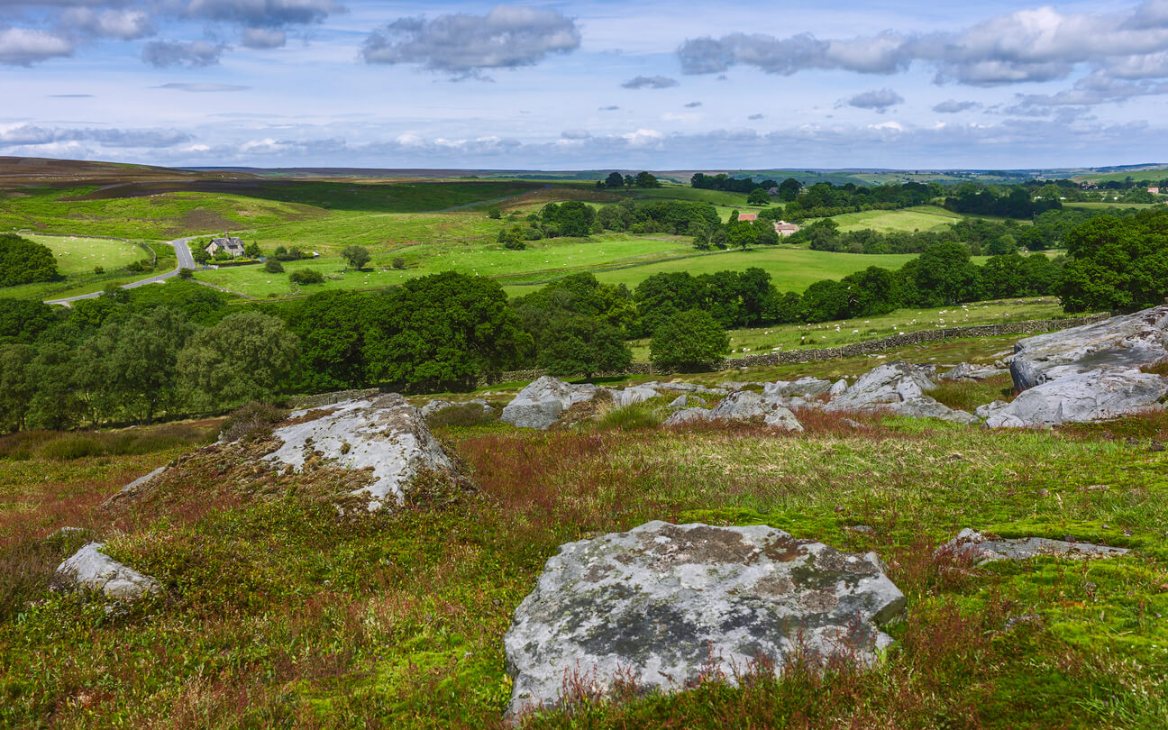 Views of countryside in Goathland.