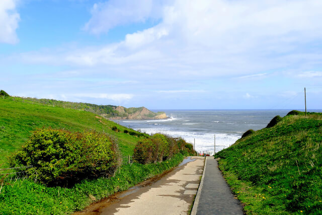 A footpath leading to Cayton Bay