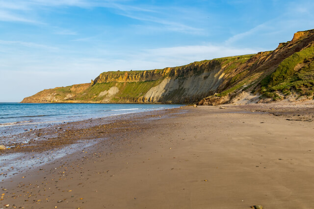 A view of the cliffs and sea from the sand at Cayton Bay