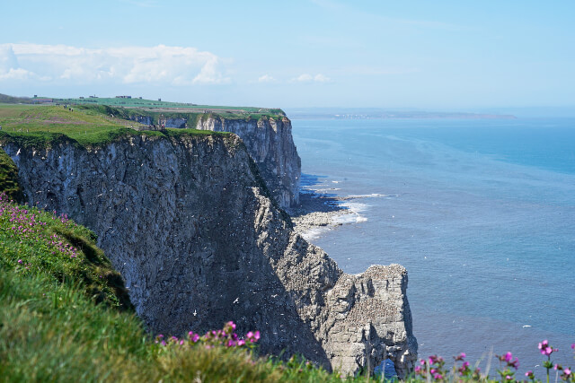 An elevated view down Bempton Cliffs to the sea beyond