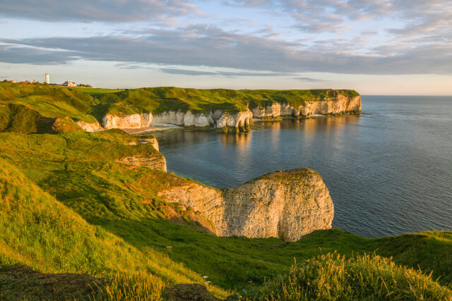 An elevated view down Flamborough Head and the sea beyond