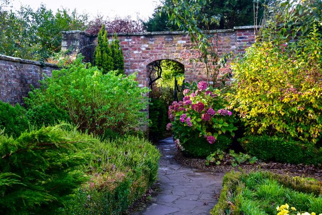 Colourful shrubbery in the walled gardens at Sewerby Hall