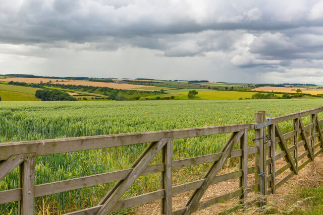 A view across the countryside in Thixendale