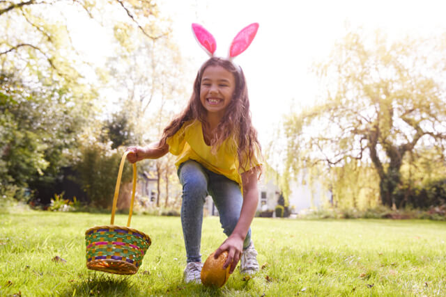 A little girl wearing bunnie ears picking up a chocolate egg