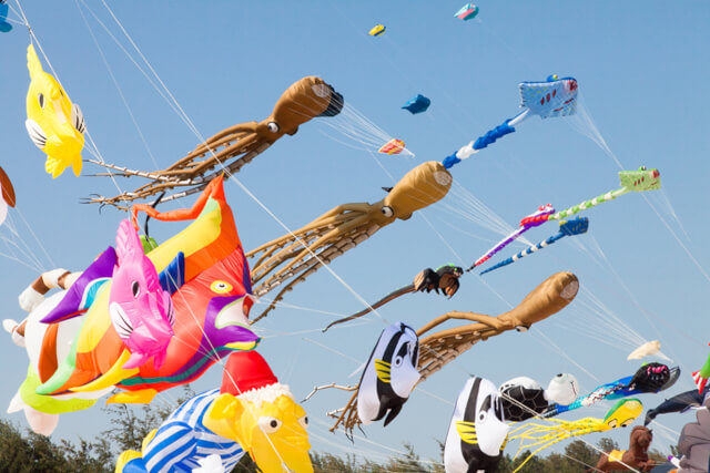 Various colourful kites shaped like sea creatures against a blue sky
