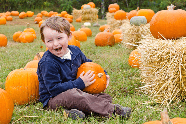 Pumpkin picking near the Yorkshire Coast