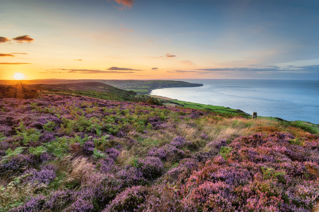Coastal views at Ravenscar, image credit Helen Hotson